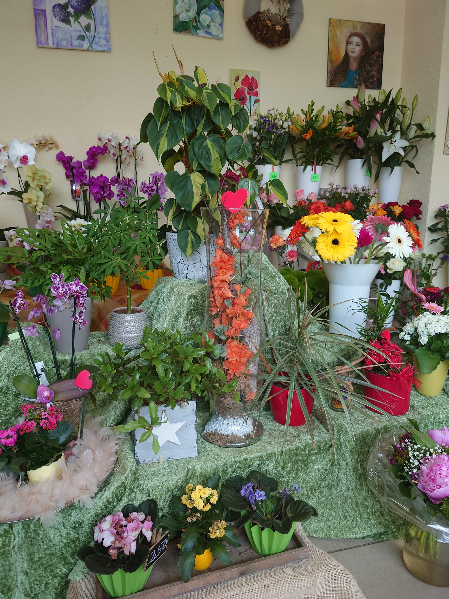 Blumeneck beim Bestattungsinstitut Wolgast